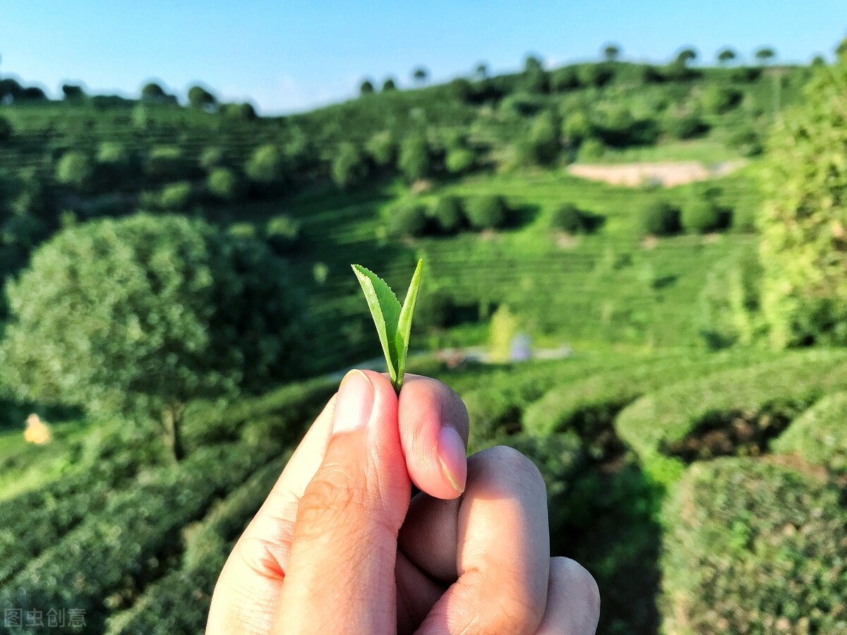顾佳和太太闹翻之后怎么样了,李太太那么有钱为什么还要骗顾佳
