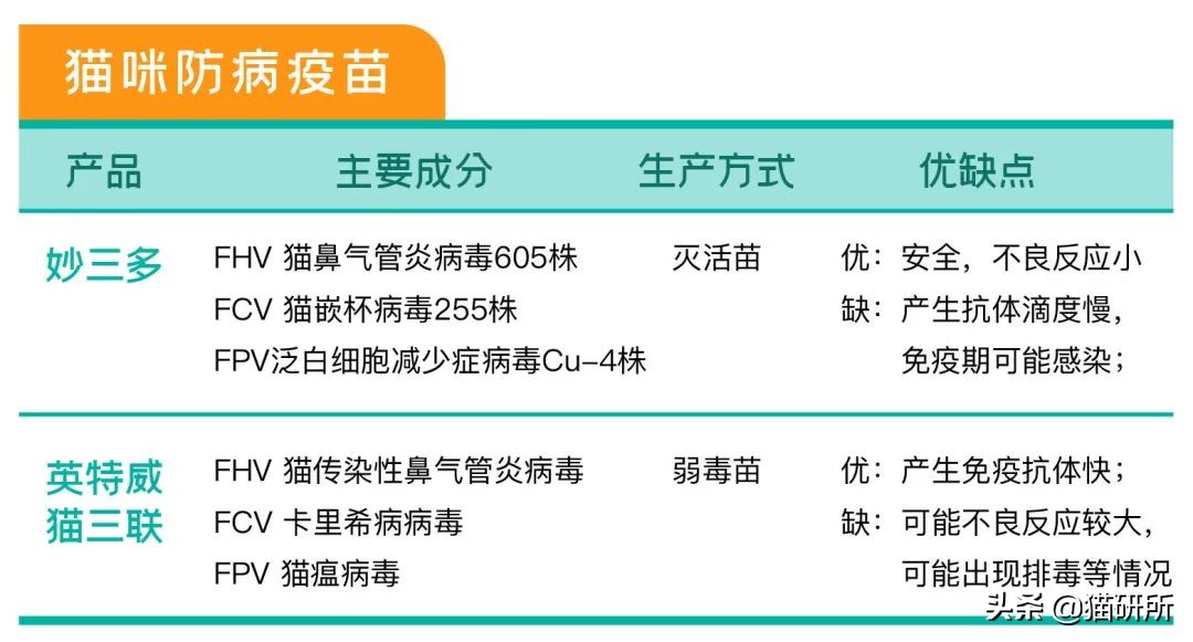 猫咪接种疫苗后局部红肿怎么处理,猫咪接种疫苗后哪些反应是正常的