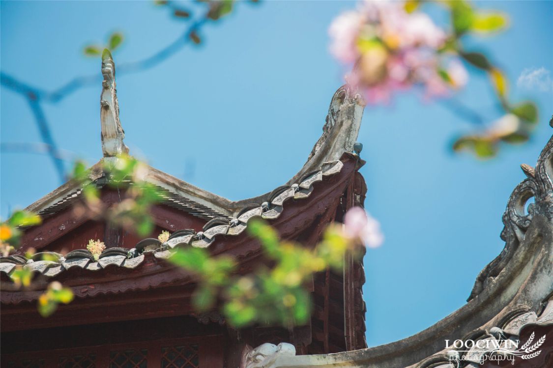 贵州除了千户苗寨还有其他玩的吗,贵州千户苗寨外的古镇