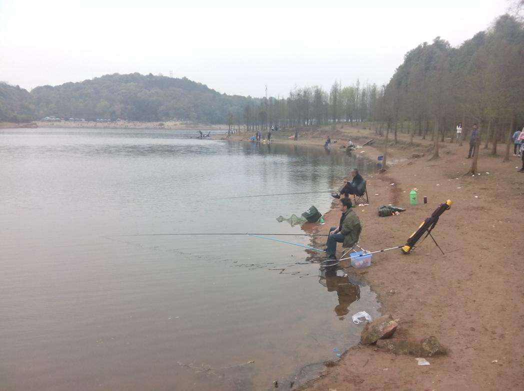 去水库钓鱼怎么钓才会爆护,春季水库钓鲈鱼用什么饵最好