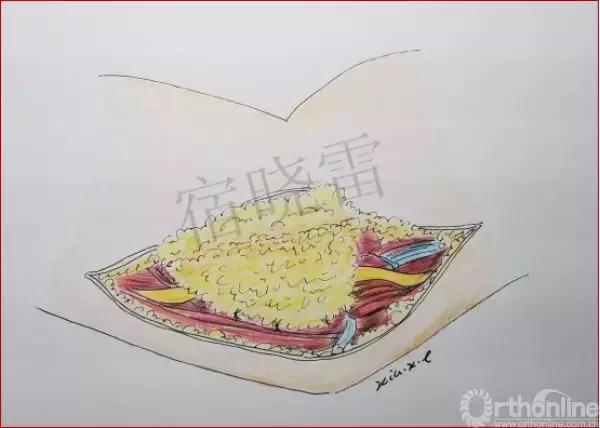 手绘科普视频,手绘类科普