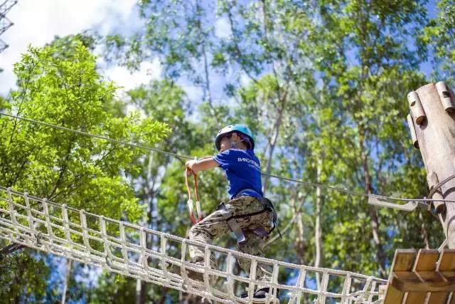 丛林探险乐园门票团购抖音,可拉熊丛林探险营地抖音团购