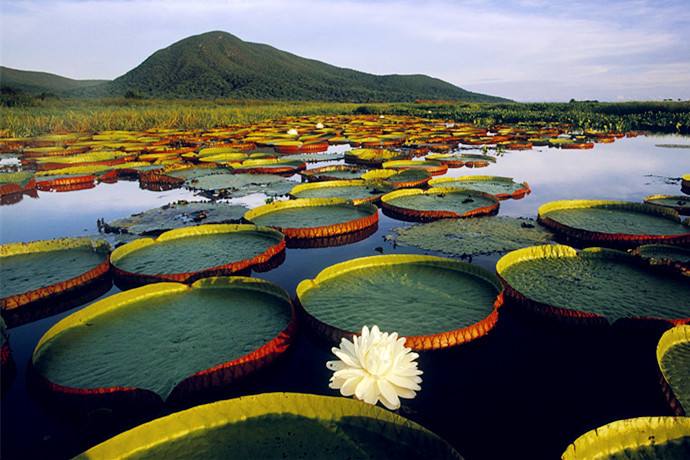 北京去白洋淀旅游攻略,北京到白洋淀的车停了吗