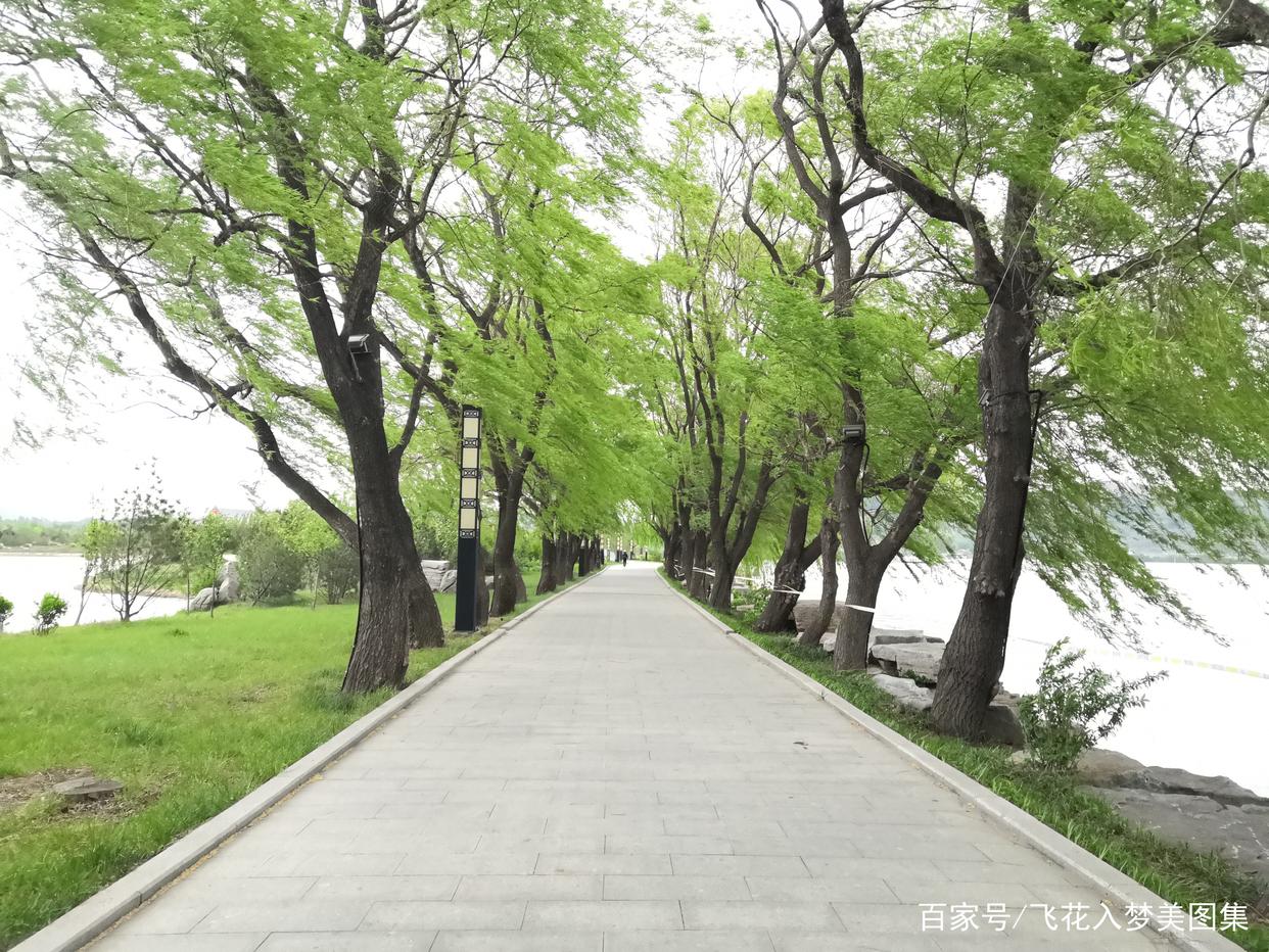 淄博五阳湖一日游攻略,淄博五阳山风景区