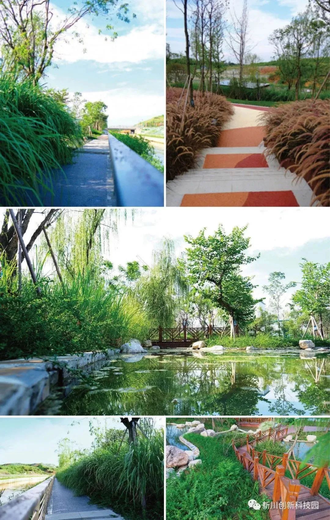 十年成城,10年成都发展