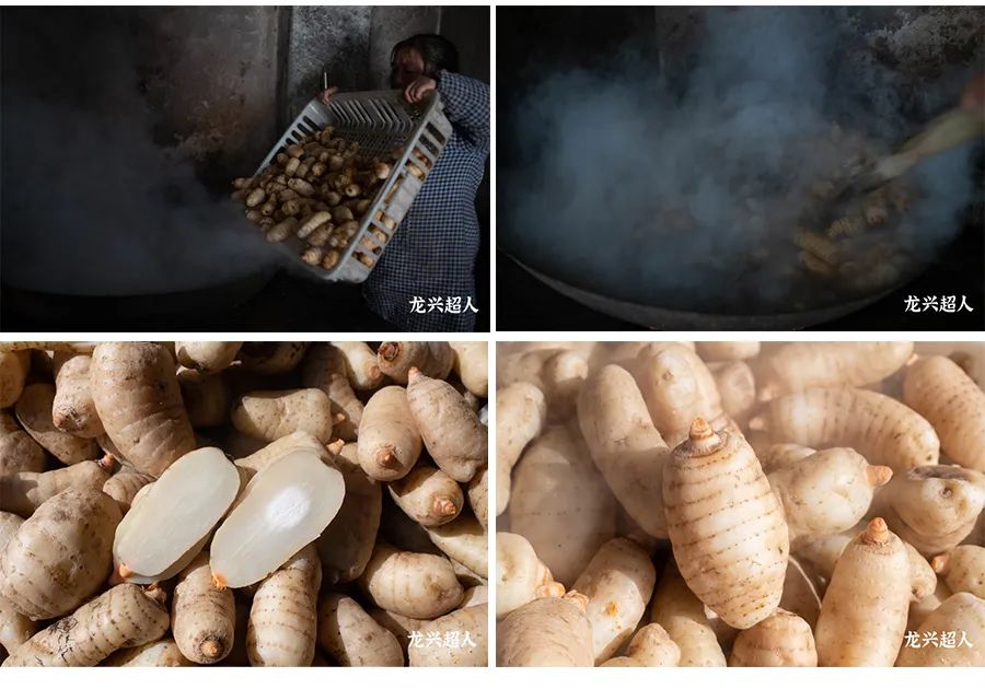 贵州道地药材天麻,道地药材天麻之乡