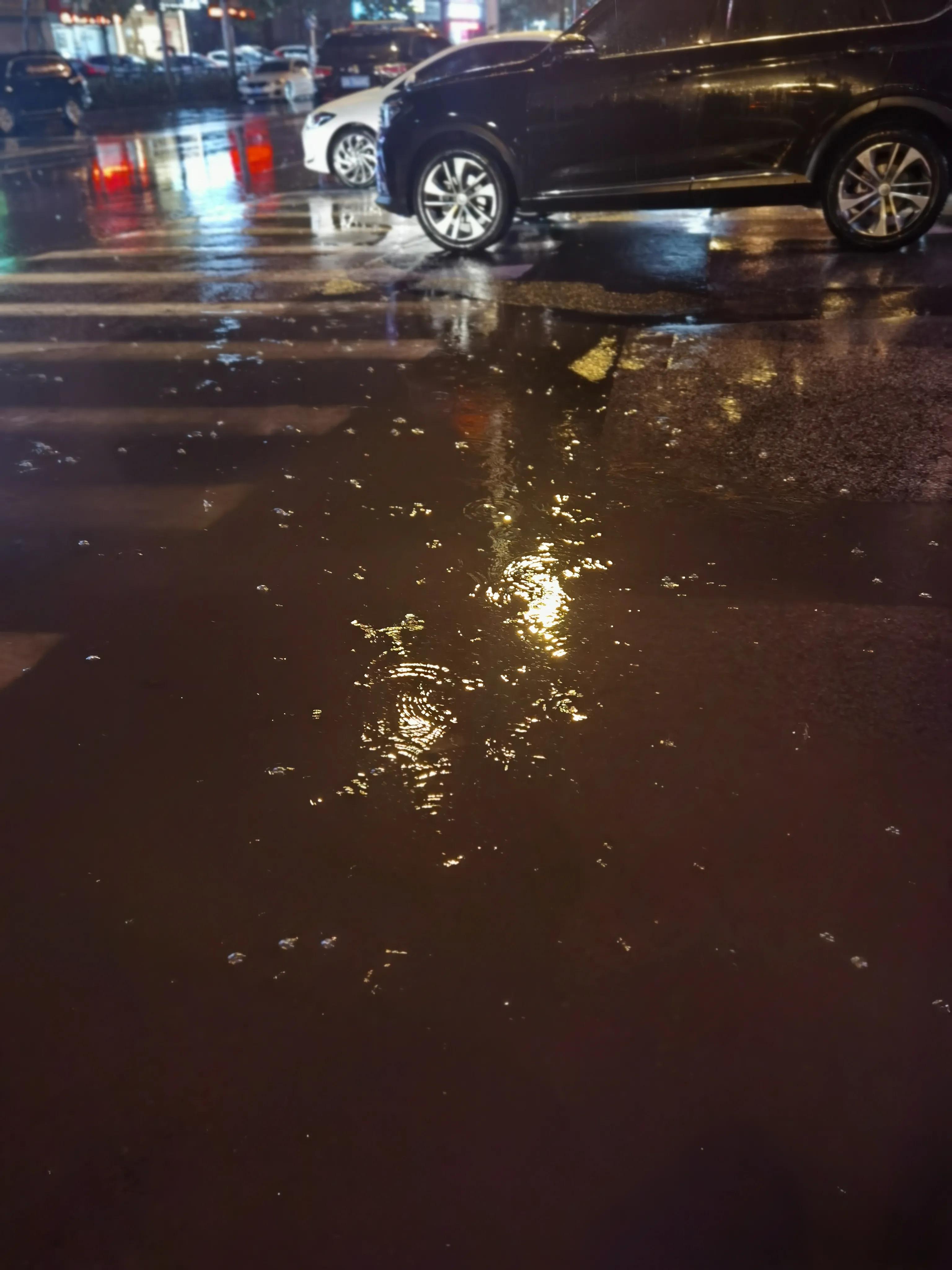 我为什么那样爱你,我为什么这样爱你歌曲