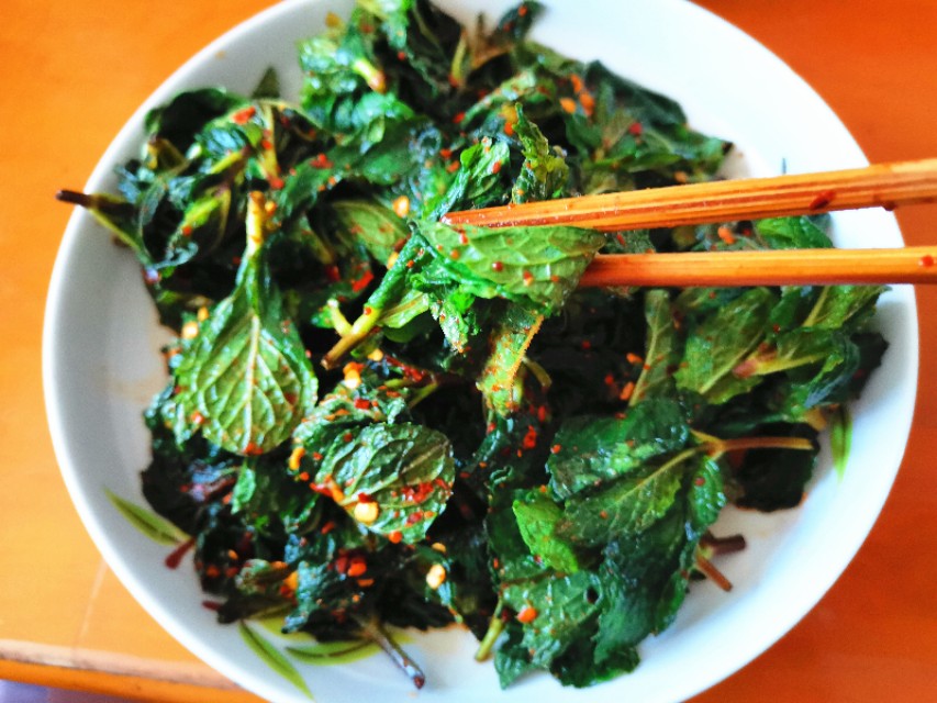 与薄荷相似的野菜,野薄荷野菜