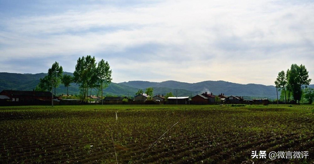 草包是骂人吗,草包是不是骂人