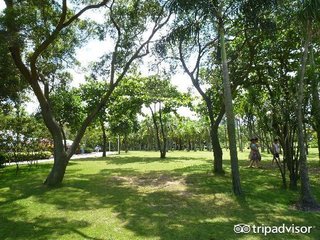 珠海金湾区旅游景点推荐,珠海平沙爬山的景点推荐