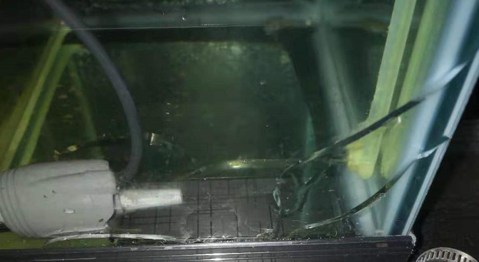 鱼缸换完滤材后水变浑浊怎么解决,鱼缸一面裂了可以换玻璃容易漏吗