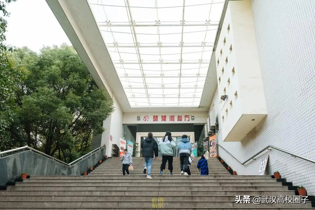 爸妈我想回家视频,爸妈我想回家了原视频