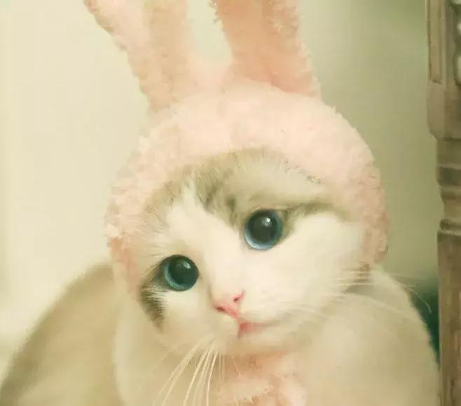 只要不停产会一直回购的化妆品,十大最不建议买的水乳