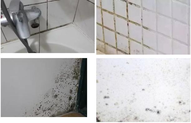 水槽边缘玻璃胶发霉怎么处理,水槽边玻璃胶发黑发霉