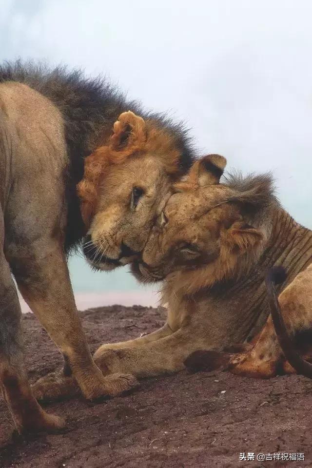 今天是6.4,夫妻日,百年一遇的吉祥日子,送给天下所有的夫妻