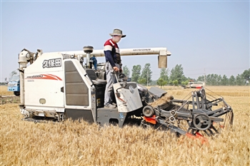 娉板窞绉嶅湴澶ф埛,娉板窞绉嶇敯澶ф埛