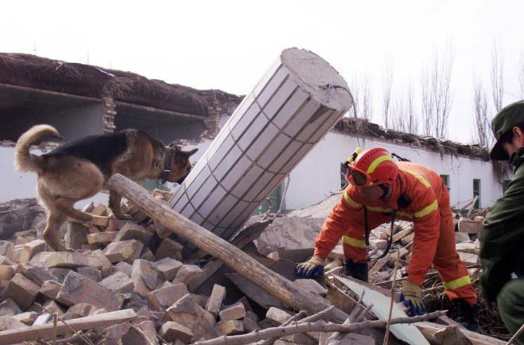 关中地区历史上的地震,关中地震最新信息