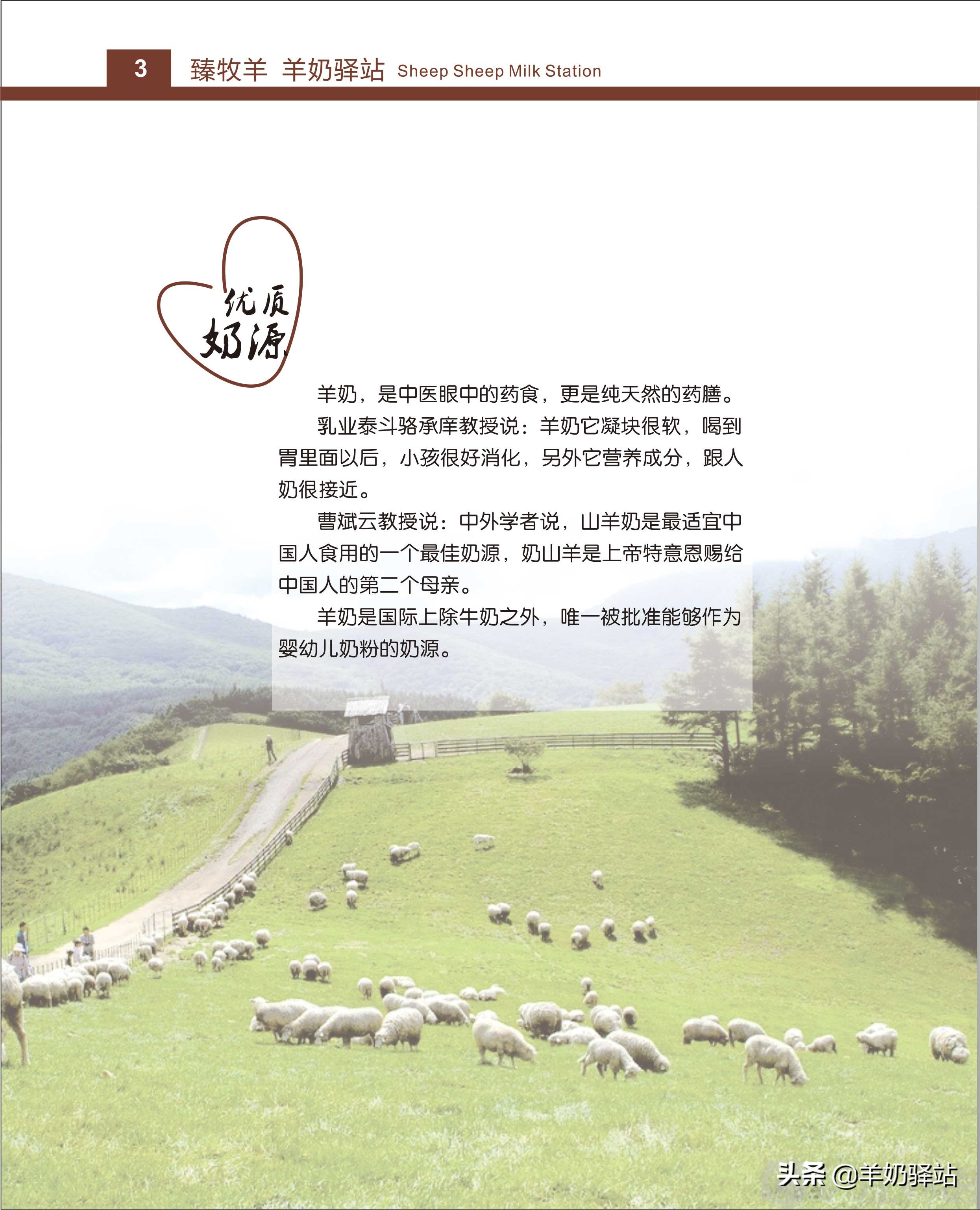 羊奶驿站加盟宣传片,羊奶驿站加盟经营模式