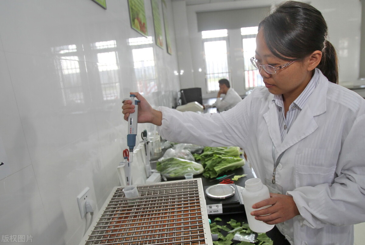 中国农产品期货市场发展现状,农产品批发市场的现状与发展趋势