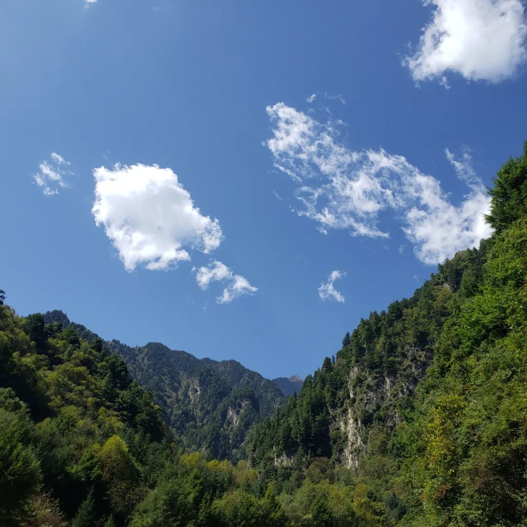 国庆成都周边旅游攻略推荐,成都周边旅游国庆2-3天推荐地方