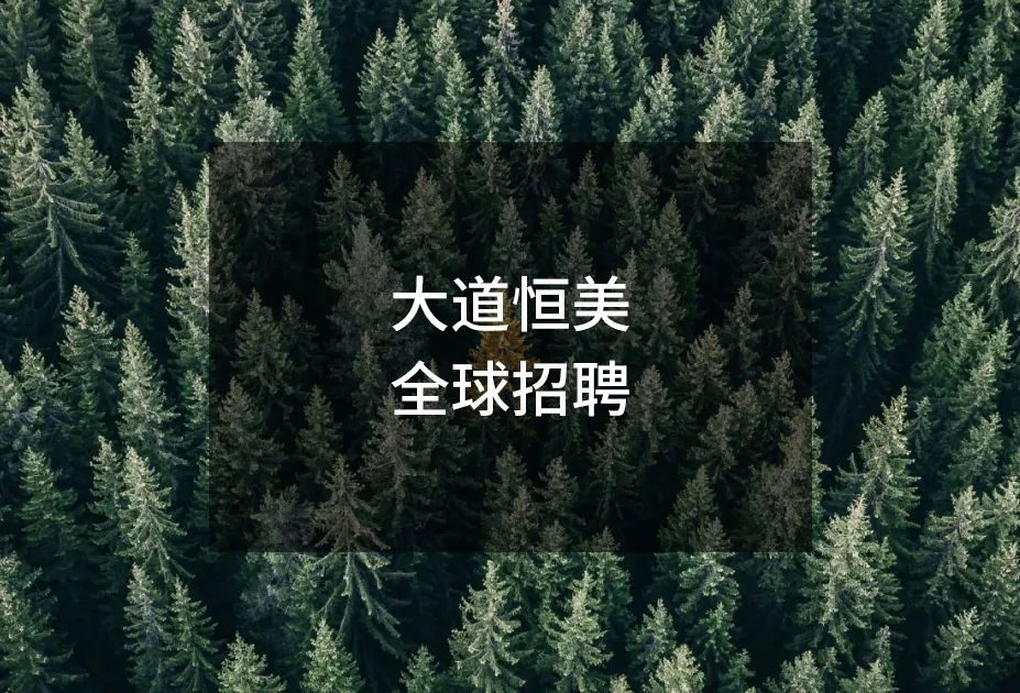 大道恒美招聘:文案策划师、视觉设计师、品牌推广、视频剪辑师