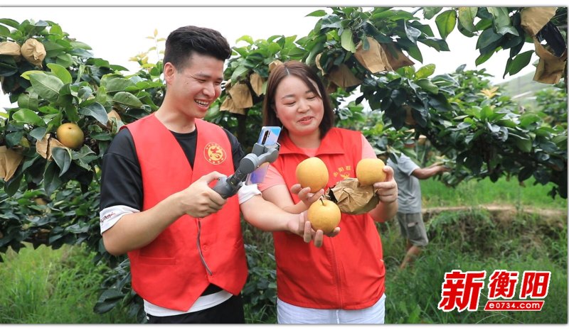 红色衡州身边榜样丨张婷：心系群众践初心为民服务担使命