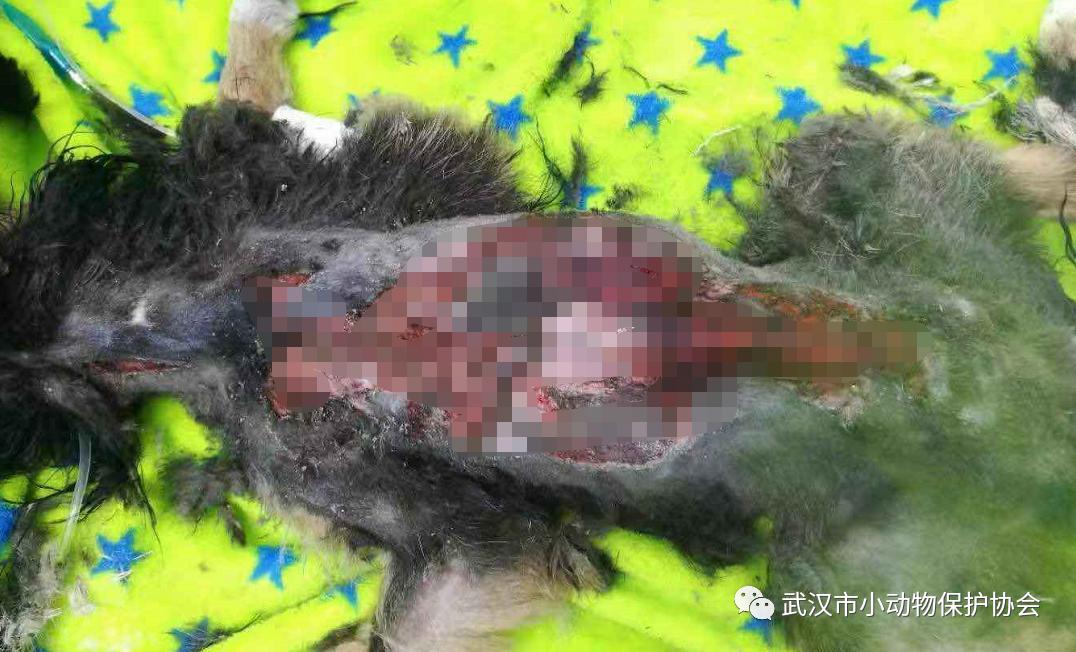 背部烫伤伤口发白是溃烂吗,眼睛被开水烫伤过容易得什么炎症