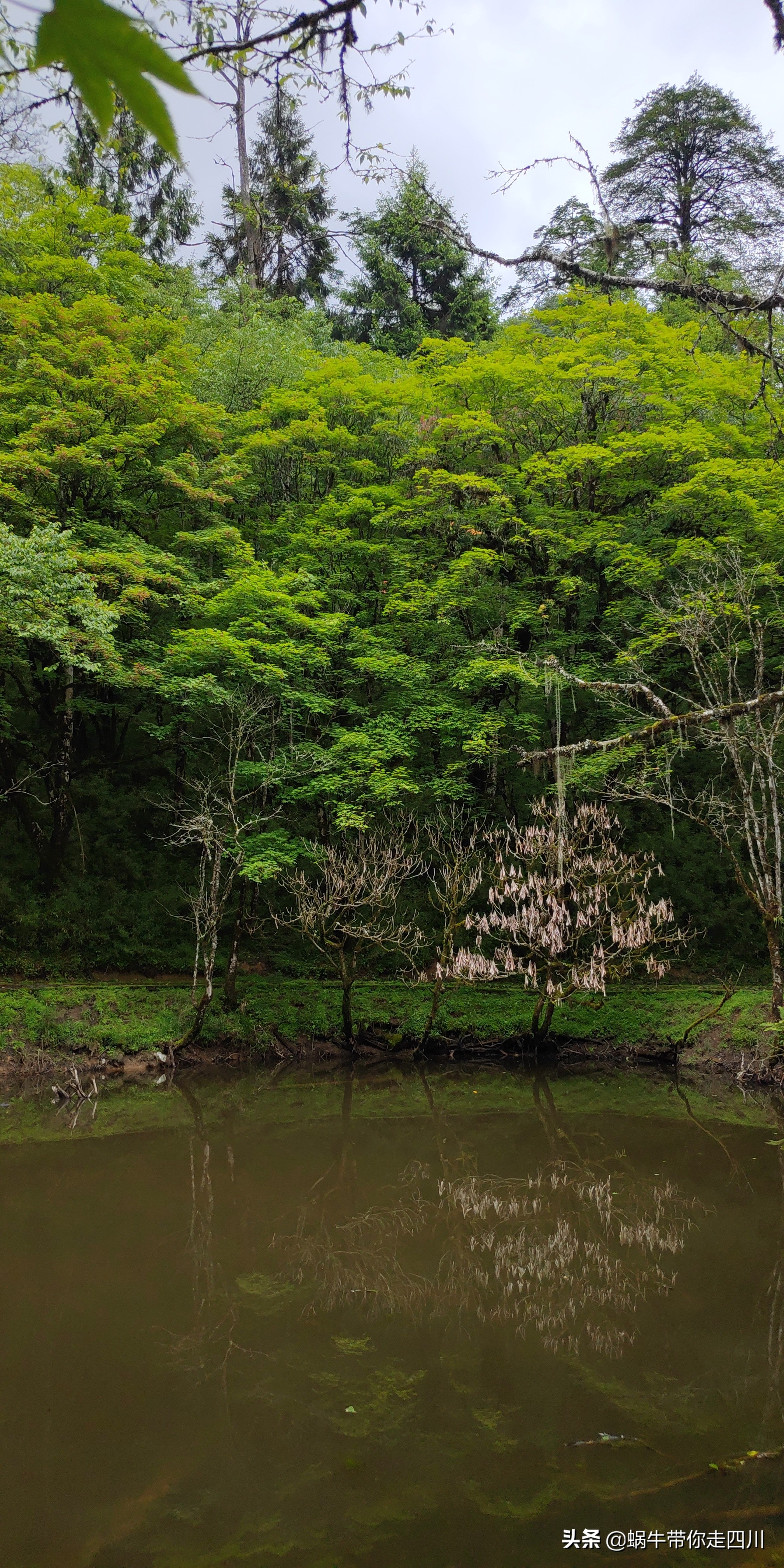 一家三口重庆到拉萨旅游攻略预算,一家三口成都去拉萨大概要多少钱