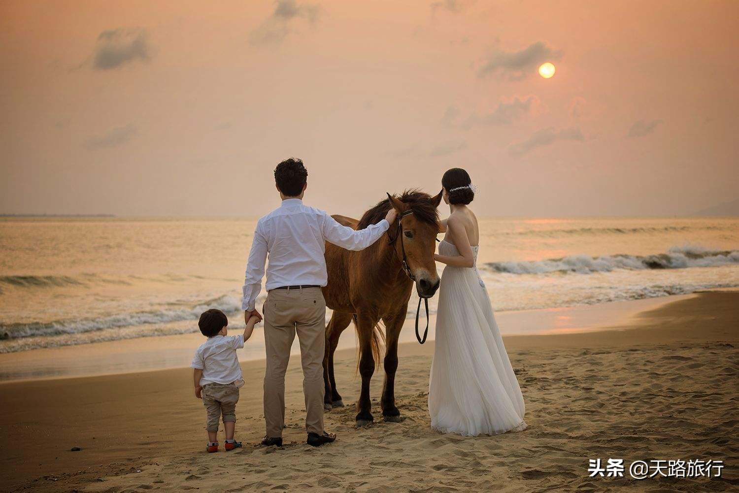 哪些职业可以成为自由职业者,如何边赚钱边旅行,实现自由梦想!