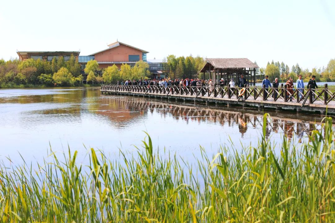 泰州旅游攻略五日游,泰州自由行旅游攻略一日游