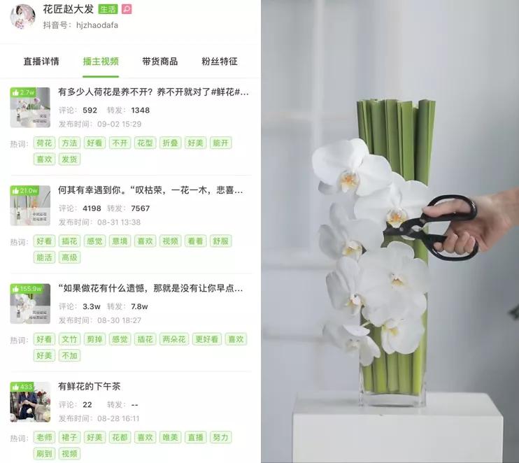 抖音做什么赛道最容易涨粉,抖音30日内涨粉榜