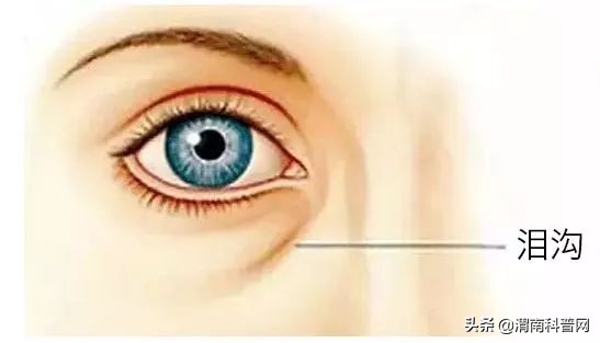 祛除眼袋的小妙招红霉素软膏,男生怎么祛除眼袋最快最有效