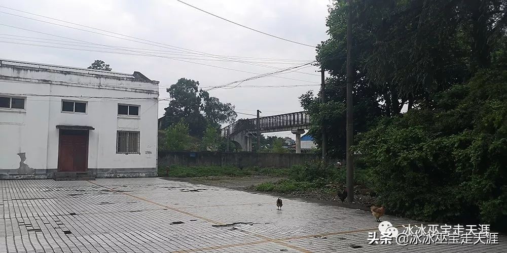 绿皮车成渝铁路上运行,川黔铁路最后的绿皮车