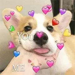 狗狗爱乱尿尿？你打它是没用的！快来看看正确解决方法