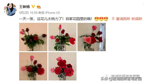 疫情宅日记,关于疫情宅在家里的日记