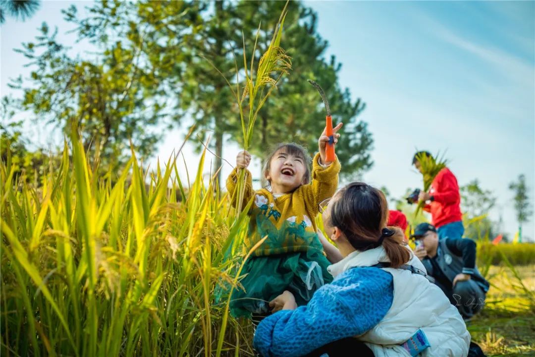金华五一打卡景点推荐,金华最美村落在哪里