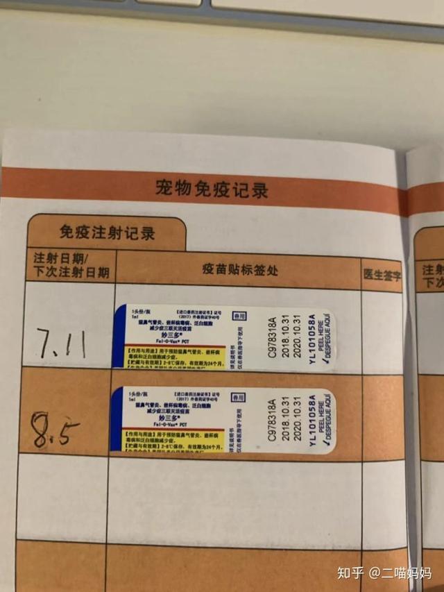 新手铲屎官去宠物店需要注意什么,新手铲屎官的真实故事