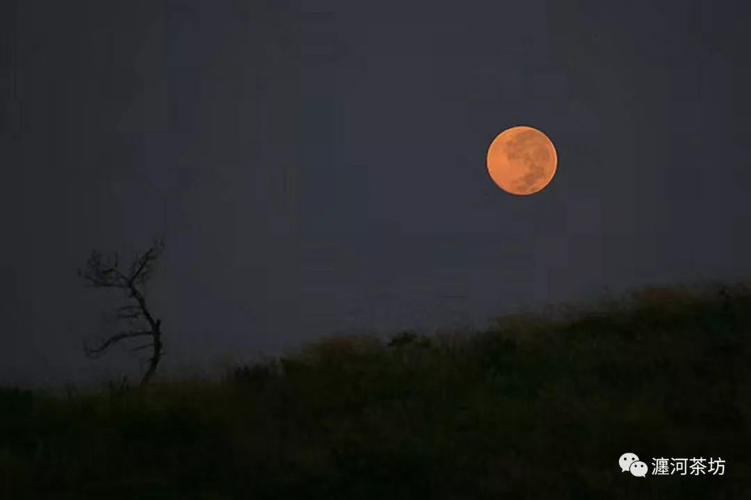 鏈嬪弸璋㈣阿浣犲コ澹扮増,濂冲搼宸寸梾浜虹殑鏁呬簨