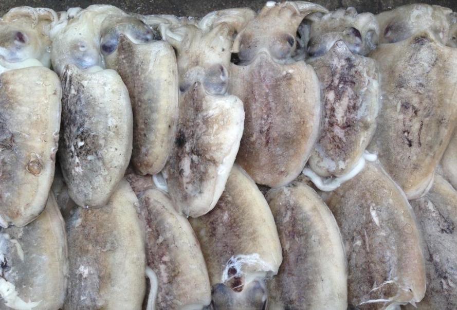 冰冻海鲜和新鲜海鲜的区别,买海鲜活的好还是干的好