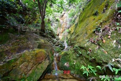 旅游｜一位全球巨星的家乡，一位文艺老人的一生