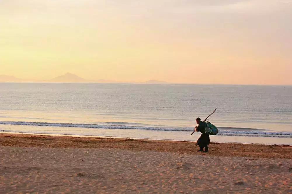 摄影点评（熊猫上班）