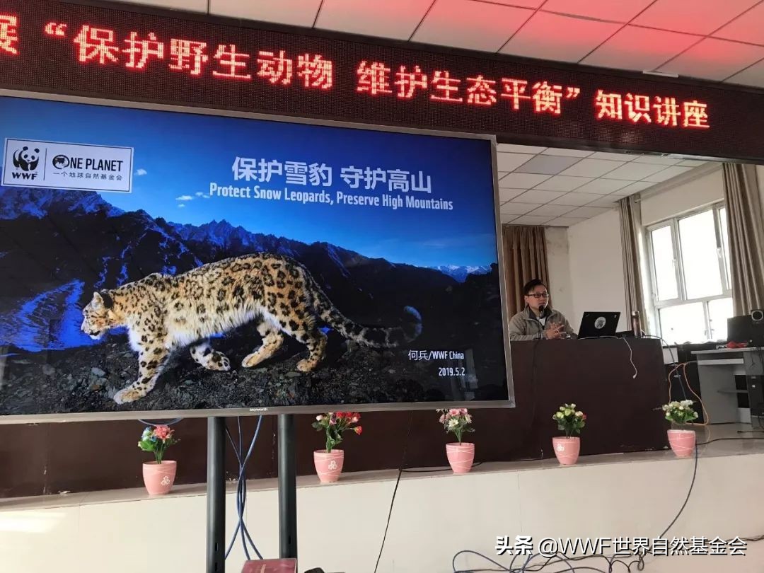 如何品味普洱茶,如何品味一杯红茶