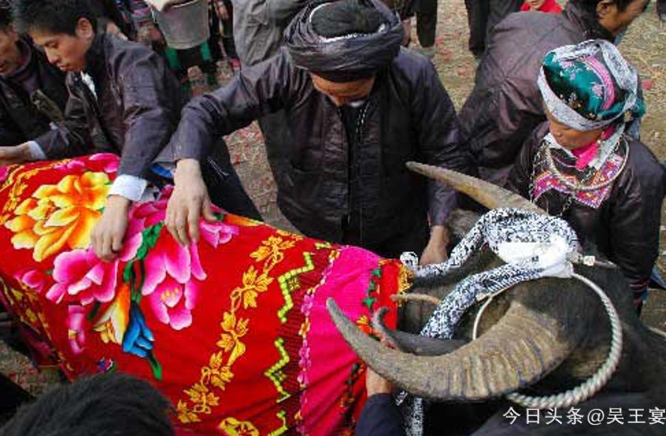 中国虐待流浪猫狗违法吗,虐待流浪猫狗算违法犯罪吗