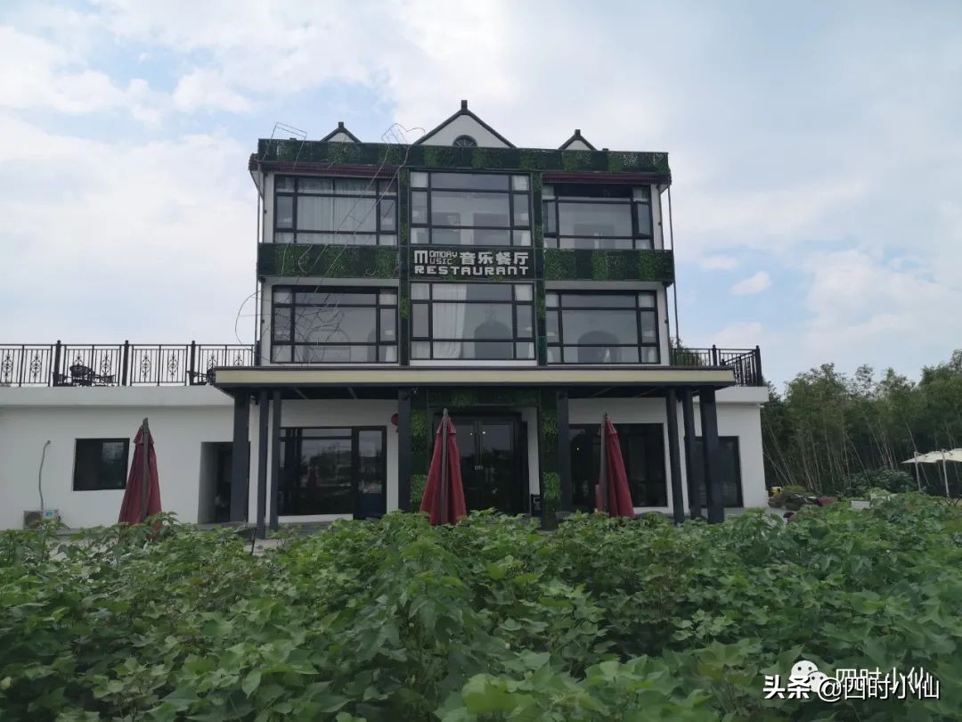 极简风网红民宿,8家网红民宿推荐