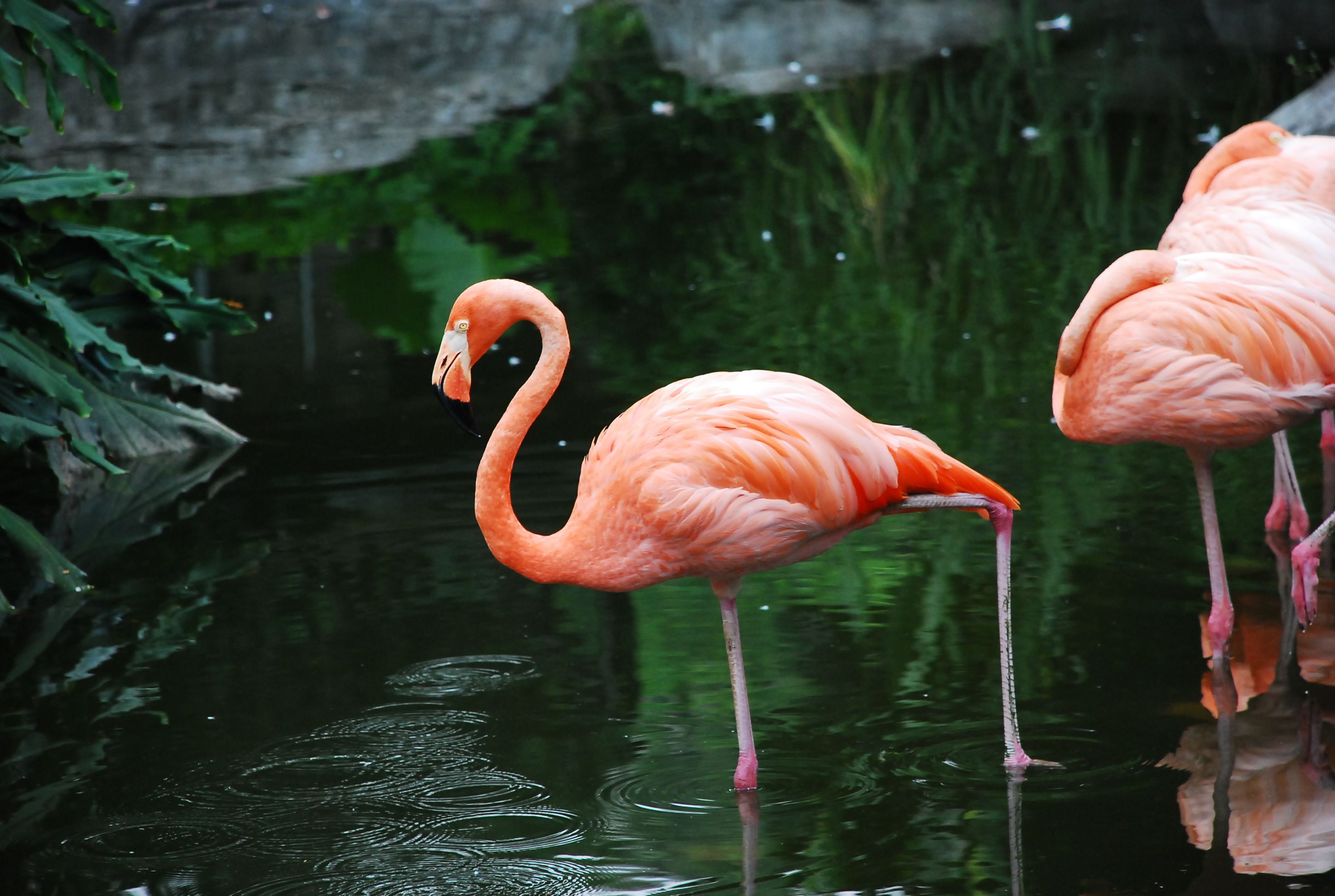 广州5a级景区推荐,广州国家aaaaa级旅游景区名单查询