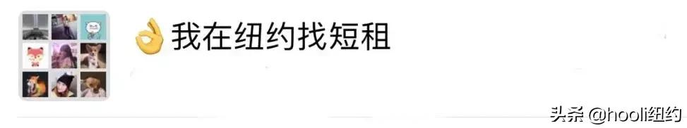 纽约最全群信息总揽|指南在手,世界我有