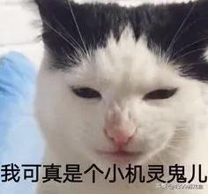 游戏里那些惊人的物理外挂,游戏的物理外挂有多离谱