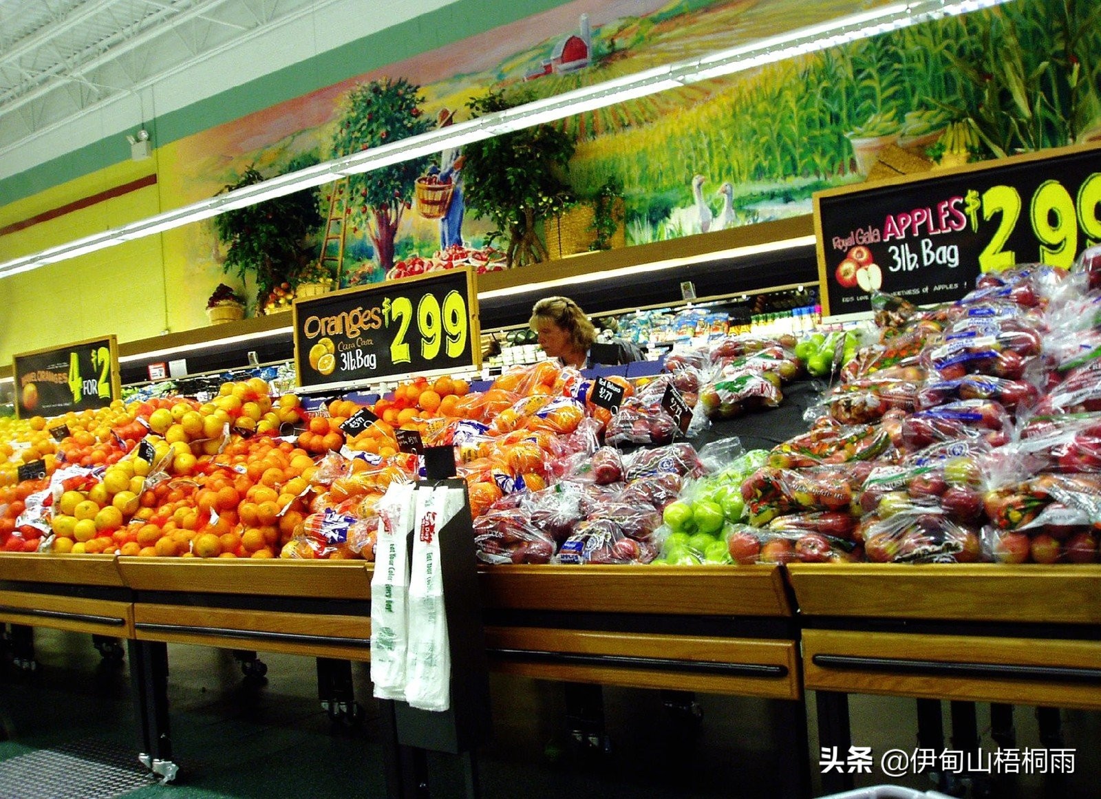 出国体验生活新西兰,出国新西兰好还是澳洲好