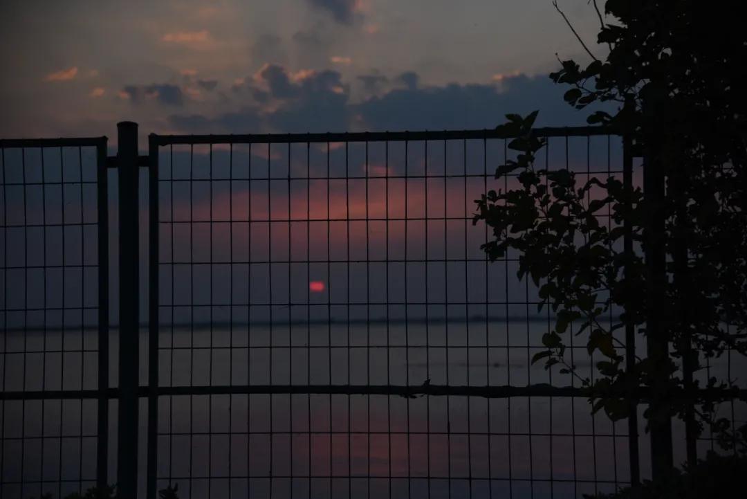 托普学院苏州,苏州托普信息职业技术学院怎么样