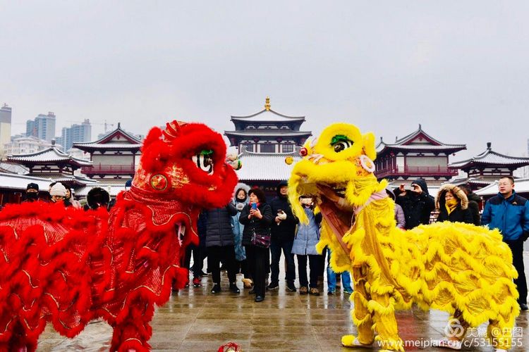 洛阳晚报作品,洛阳晚报2020年